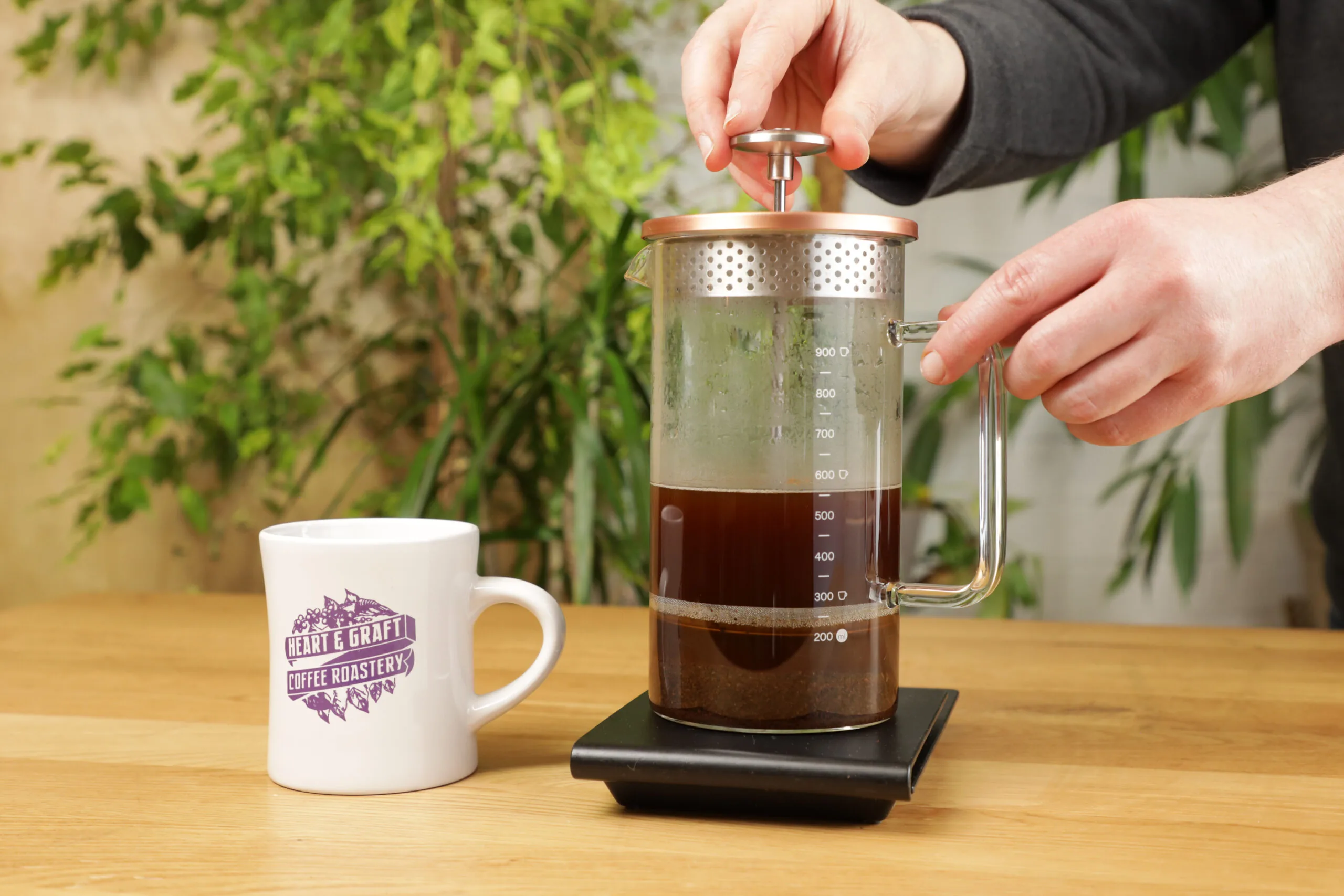 French Press Step 45